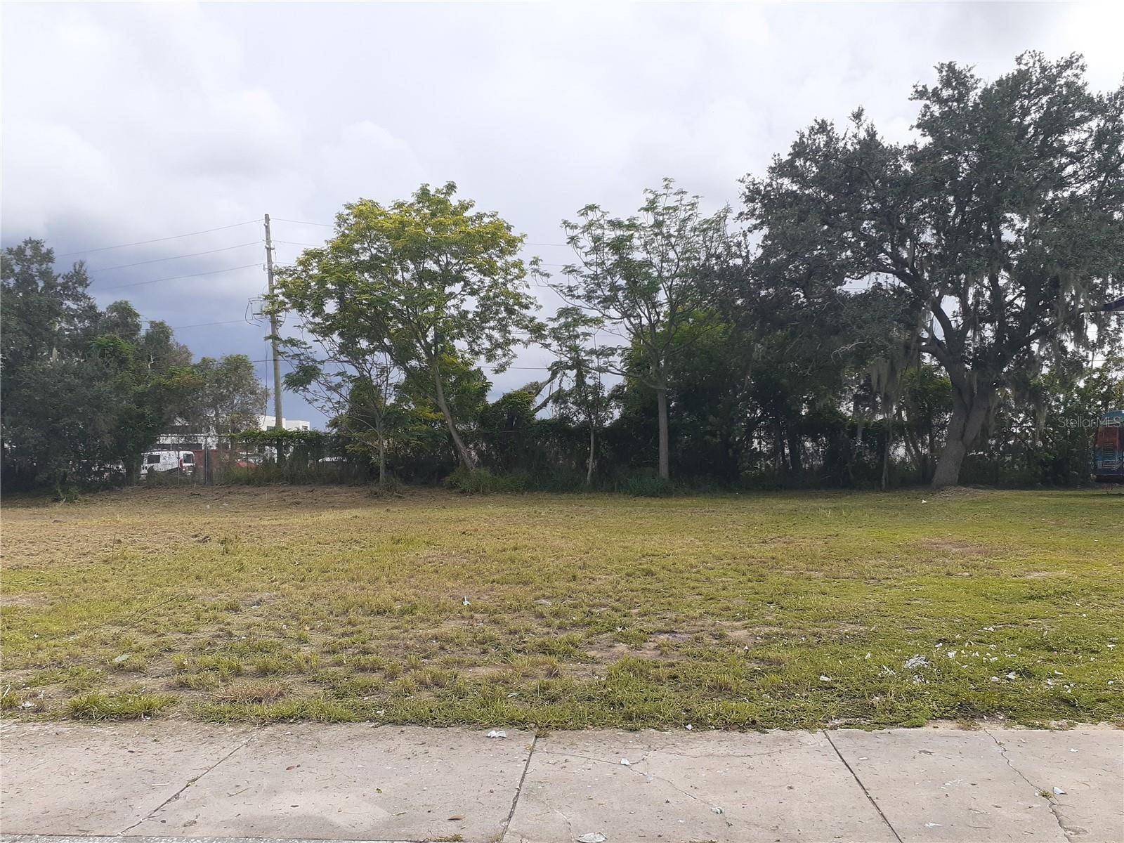 Lake Wales, FL 33853,31 & 35 ORANGE AVE W