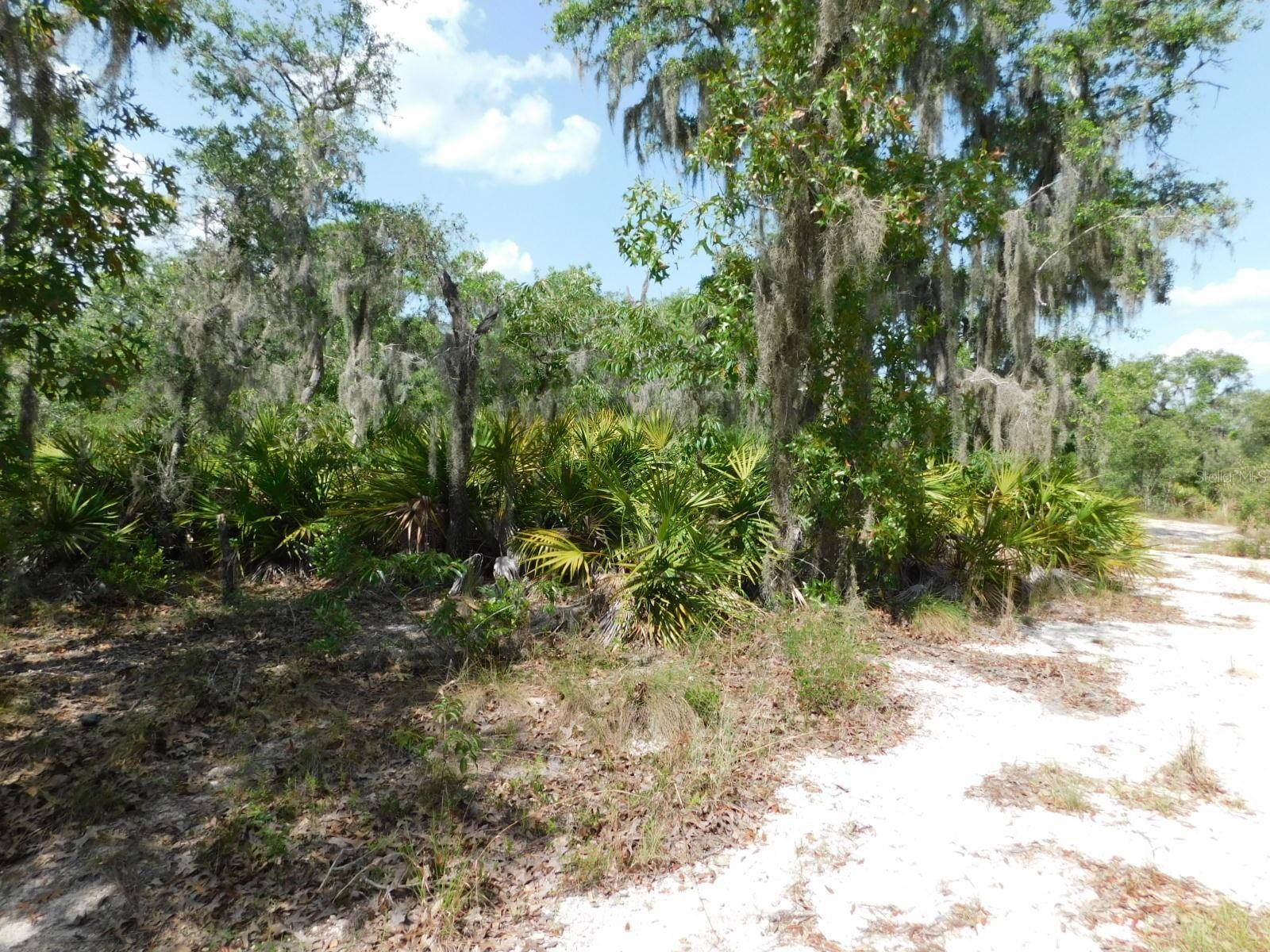 Lake Wales, FL 33898,3201 SCRUB OAK LN