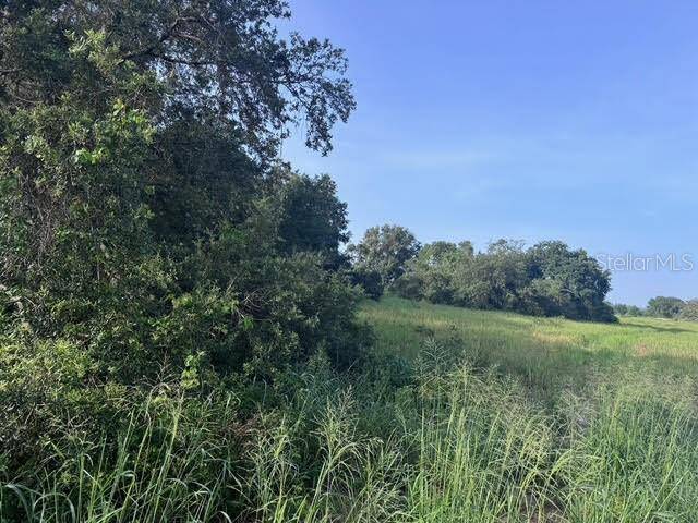 Fort Meade, FL 33841,7710 N LAKE BUFFUM RD