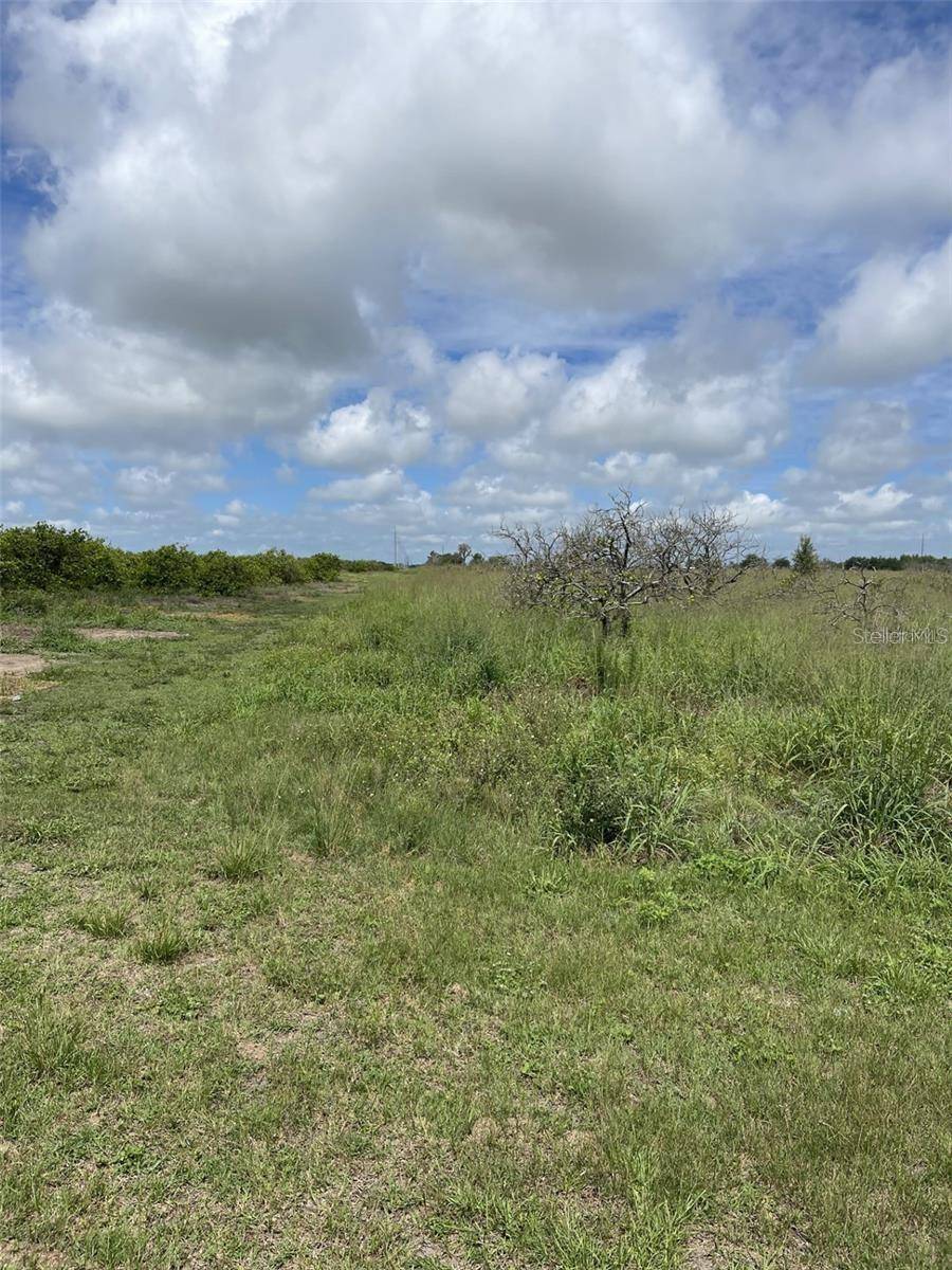 Fort Meade, FL 33841,0 HUTCHINS RD