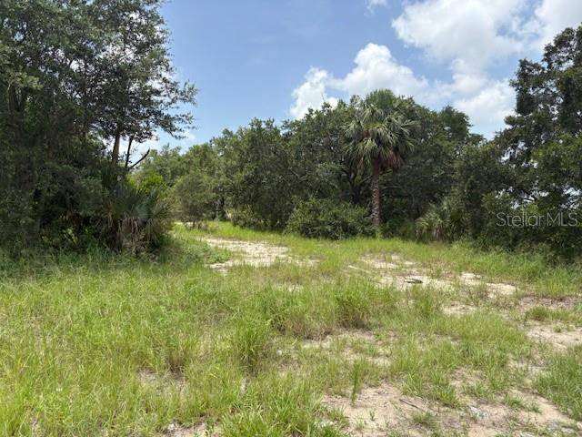 Lake Wales, FL 33898,ALMBURG RD