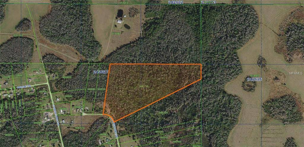 Polk City, FL 33868,OVERLAND TRL