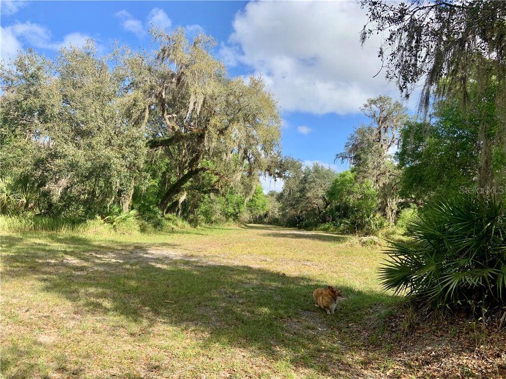 Zolfo Springs, FL 33890,634 BRONCO DR