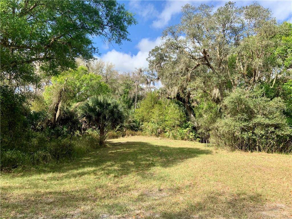 Zolfo Springs, FL 33890,634 BRONCO DR