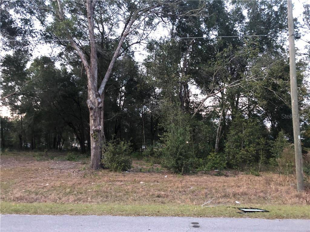 Summerfield, FL 34491,SE 143RD PL