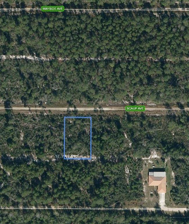 Sebring, FL 33872,533 SCAUP AVE