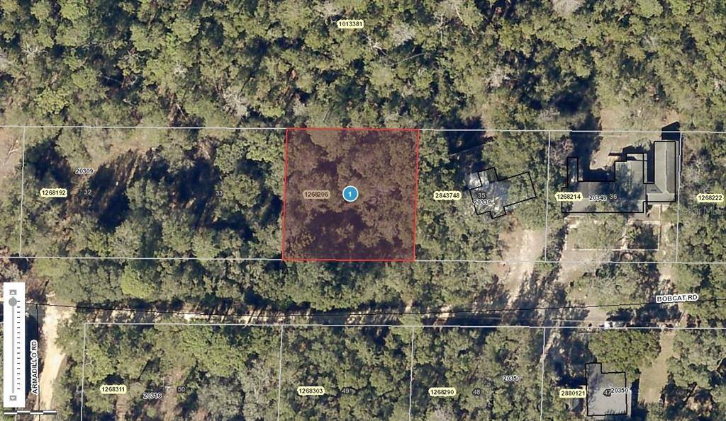 Altoona, FL 32702,0 BOBCAT RD