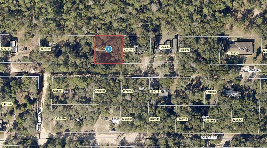 Altoona, FL 32702,0 BOBCAT RD