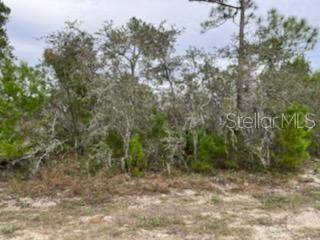 Sebring, FL 33872,4372 MERCEDES ST