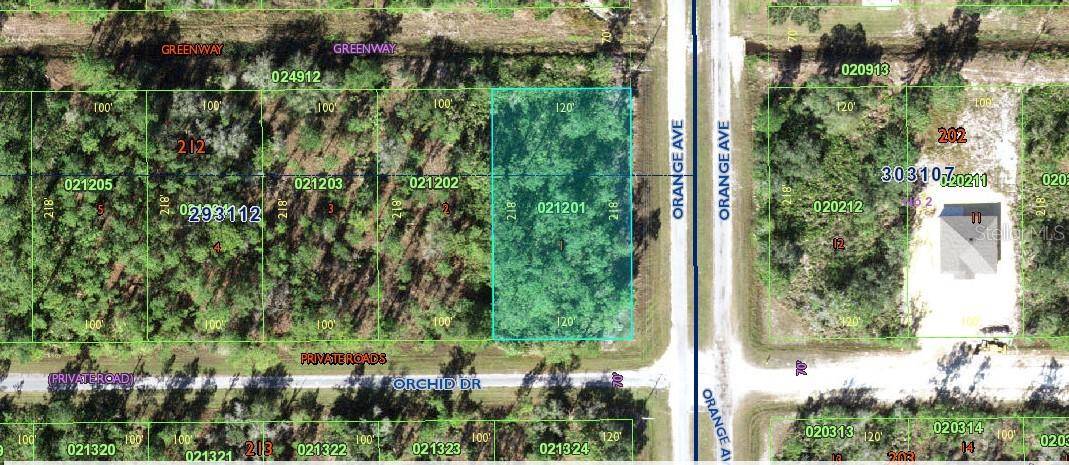 Indian Lake Estates, FL 33855,802 ORCHID DR