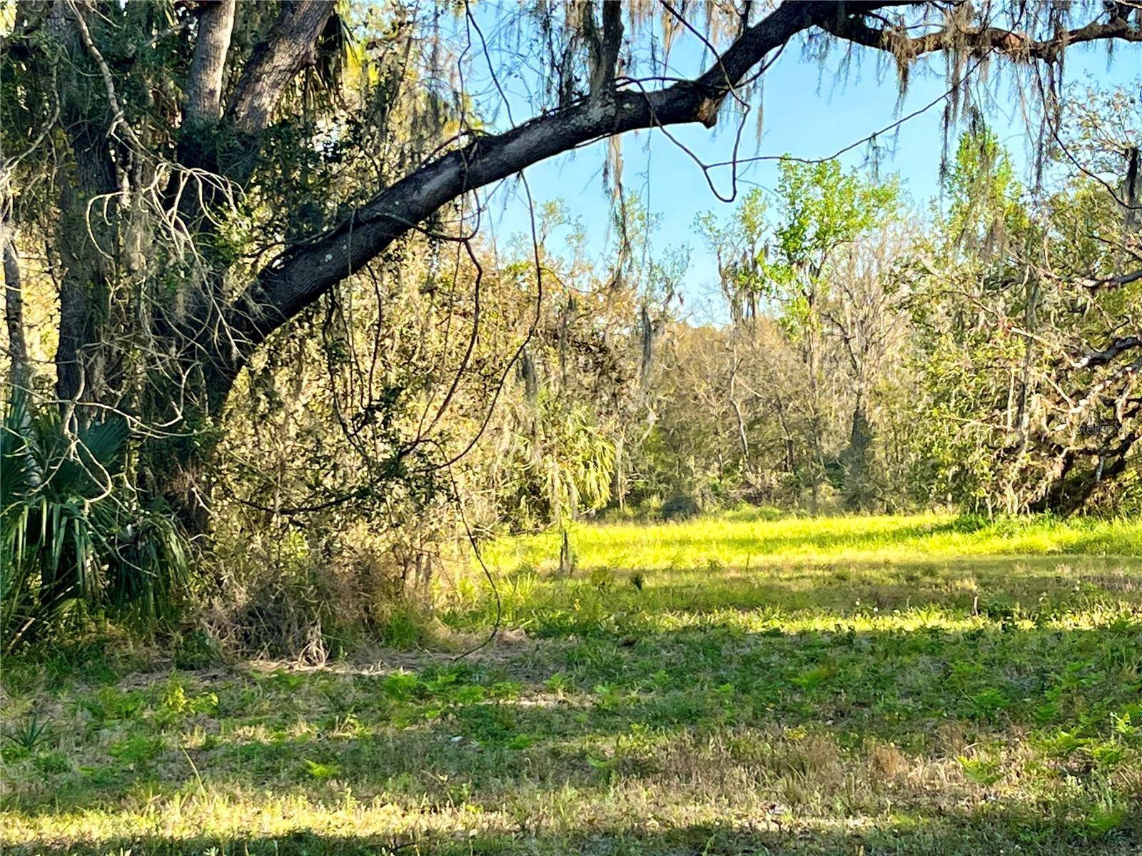 Wauchula, FL 33873,DANSBY RD