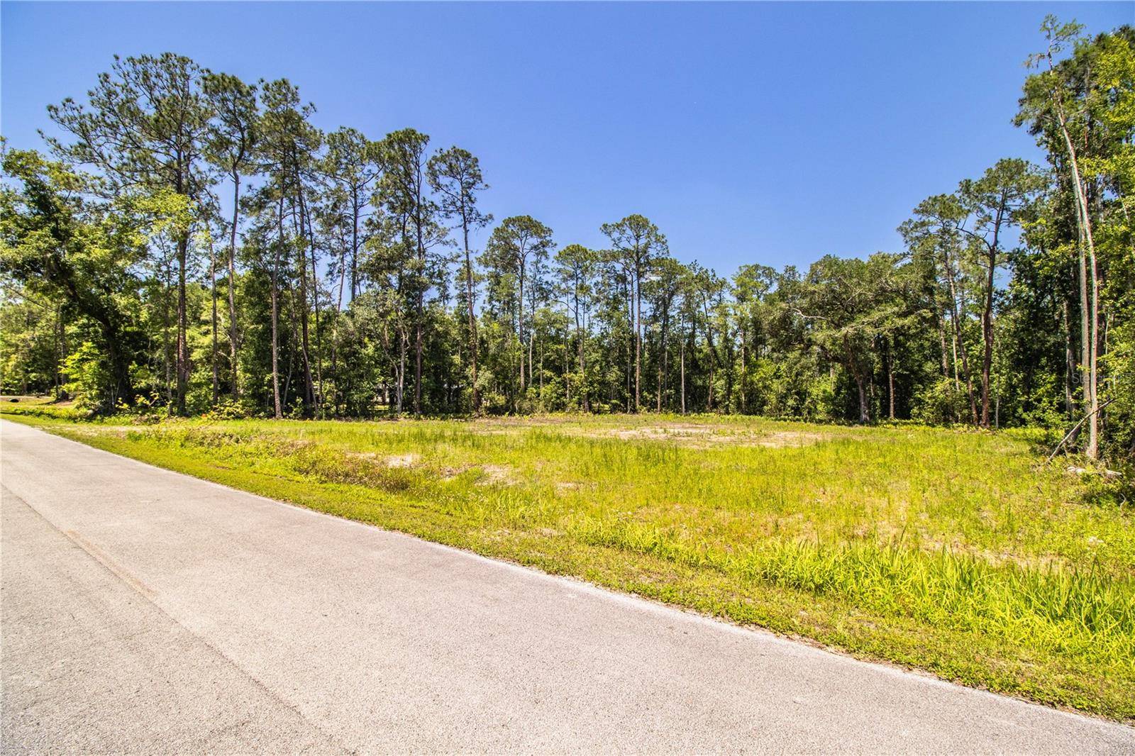 Lakeland, FL 33809,0 PIONEER DR