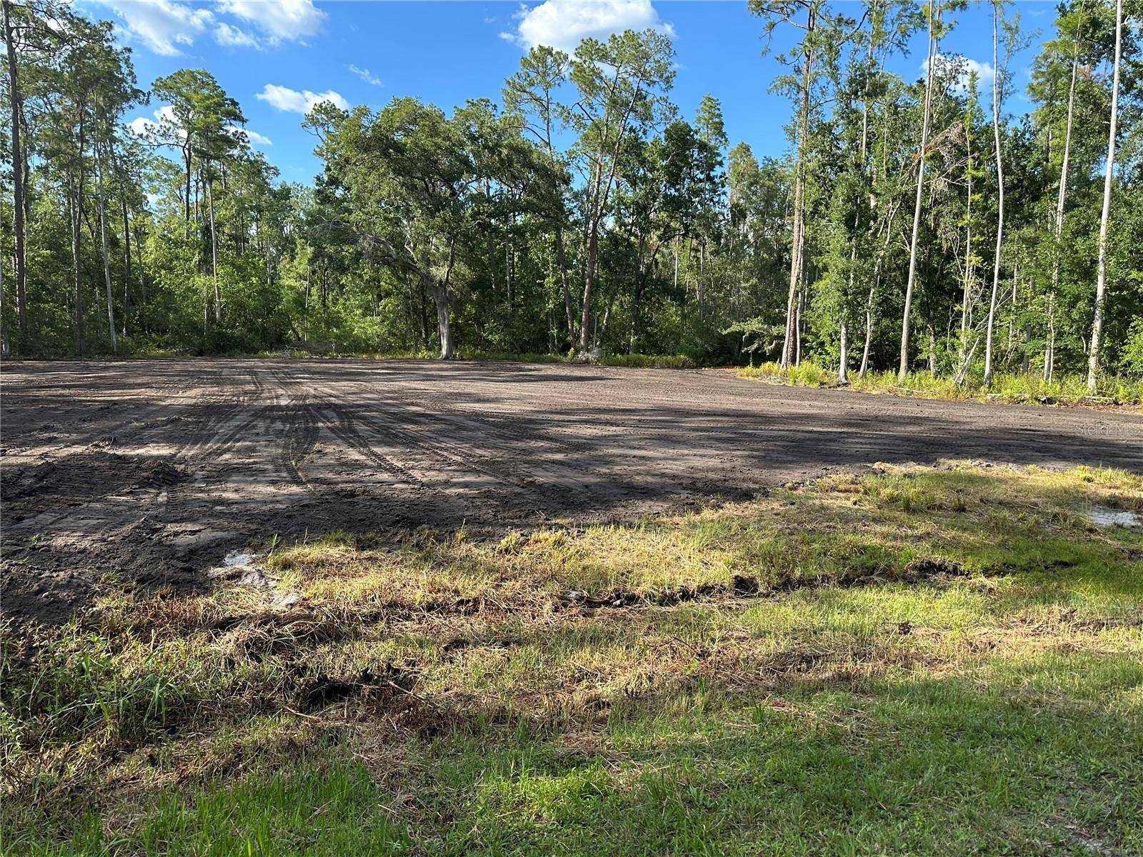 Lakeland, FL 33809,0 PIONEER DR