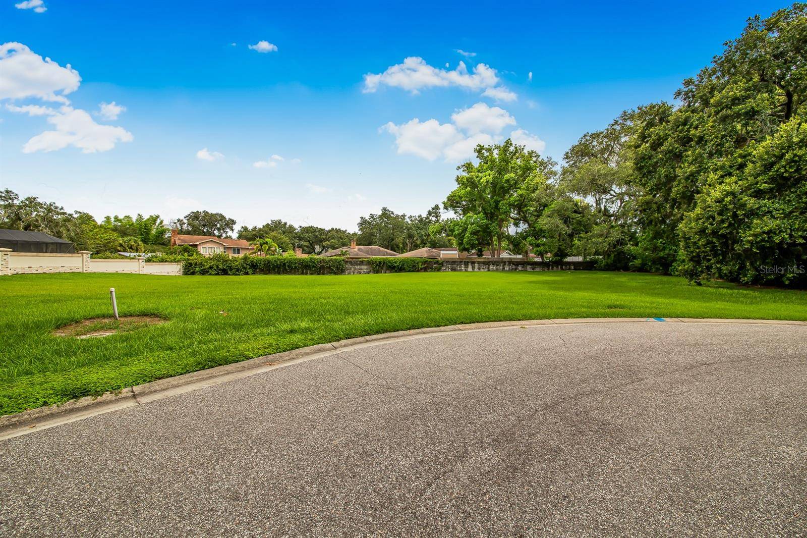 Lakeland, FL 33803,1515 HOLLINGSWORTH CREEK CT