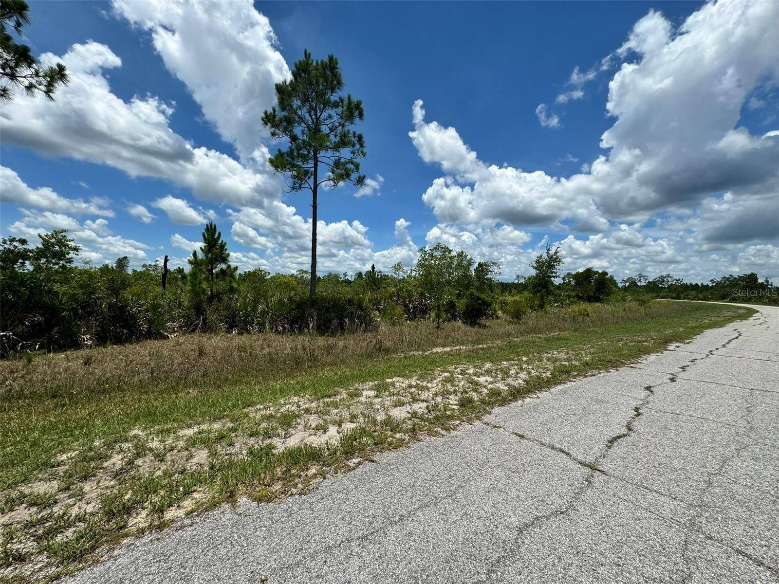 Indian Lake Estates, FL 33855,Lot #2 MEADOWLARK BLVD