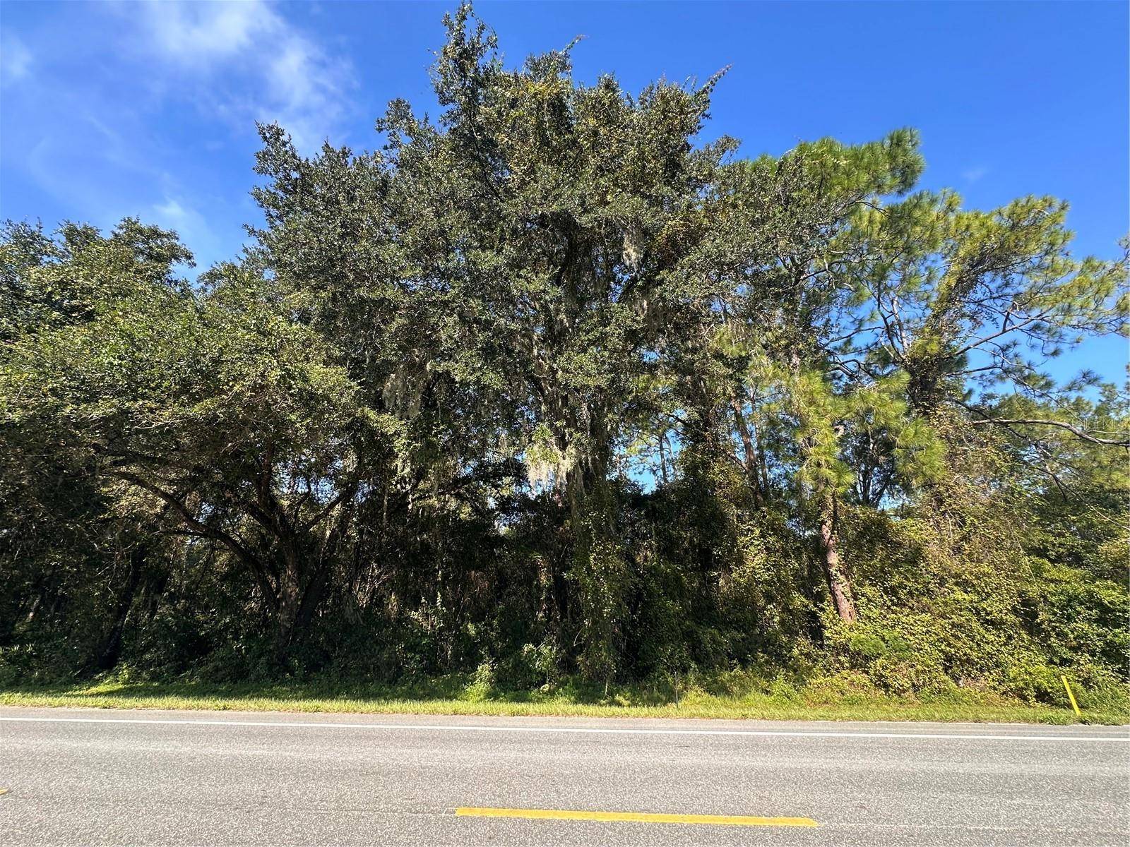 Webster, FL 33597,TREIMAN BLVD