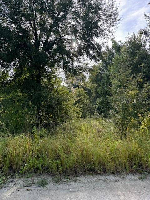 Lakeland, FL 33809,SPORTSMAN TRL