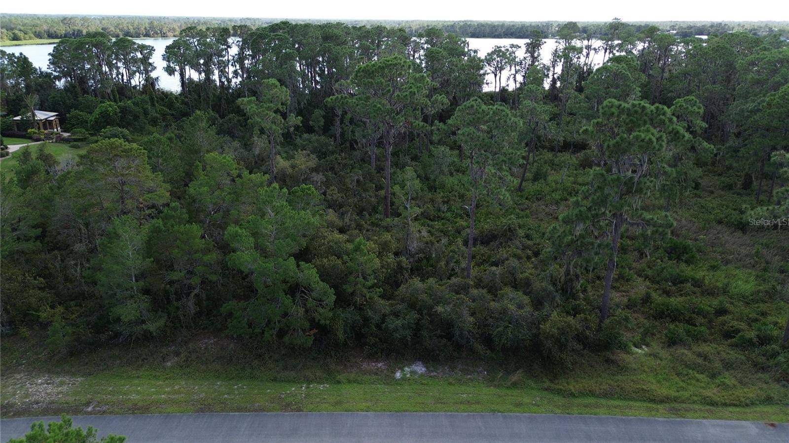 Sebring, FL 33875,3029 HAWKS LANDING CIR