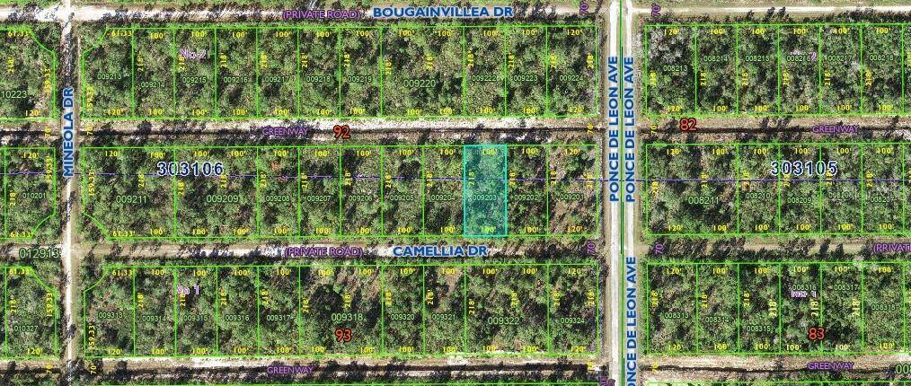 Indian Lake Estates, FL 33855,406 CAMELLIA DR