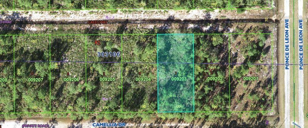 Indian Lake Estates, FL 33855,406 CAMELLIA DR