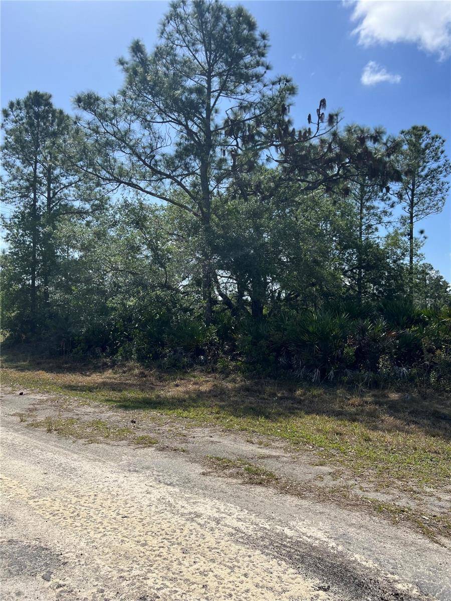 Indian Lake Estates, FL 33855,0 OLEANDER DR