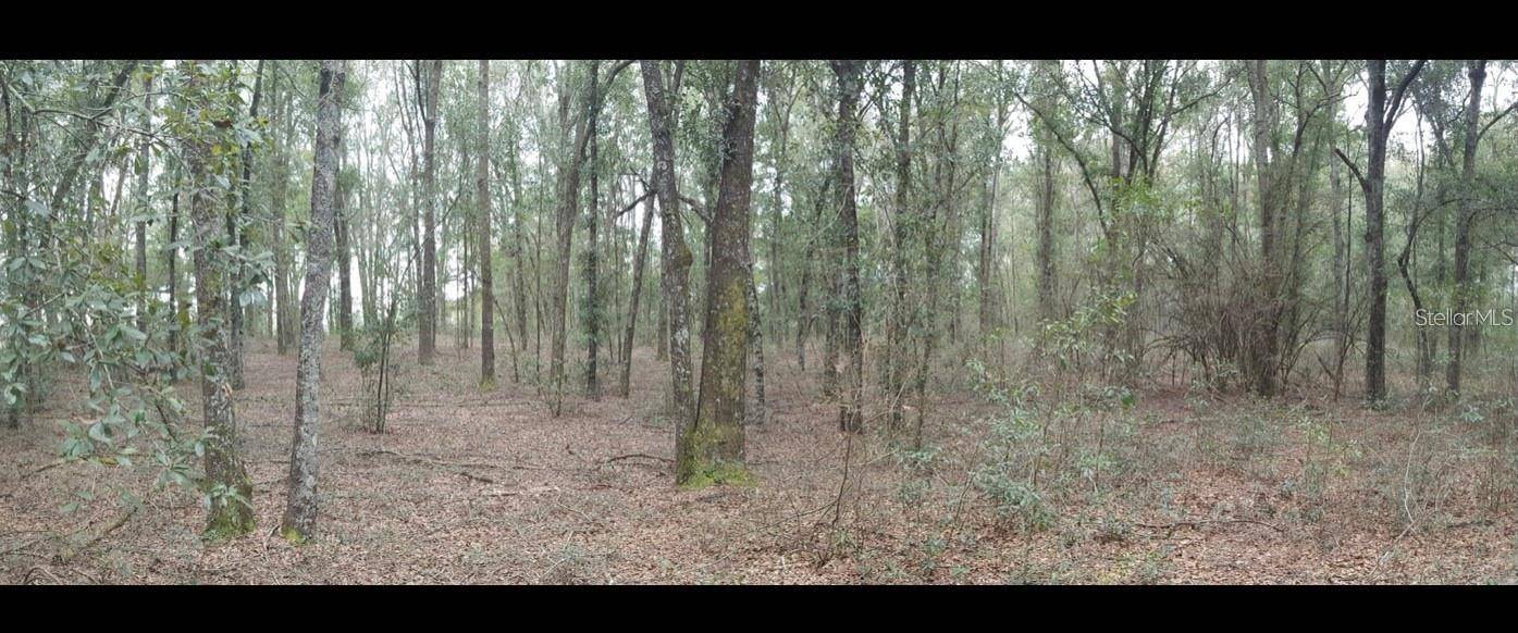 Mc Alpin, FL 32062,176TH ST
