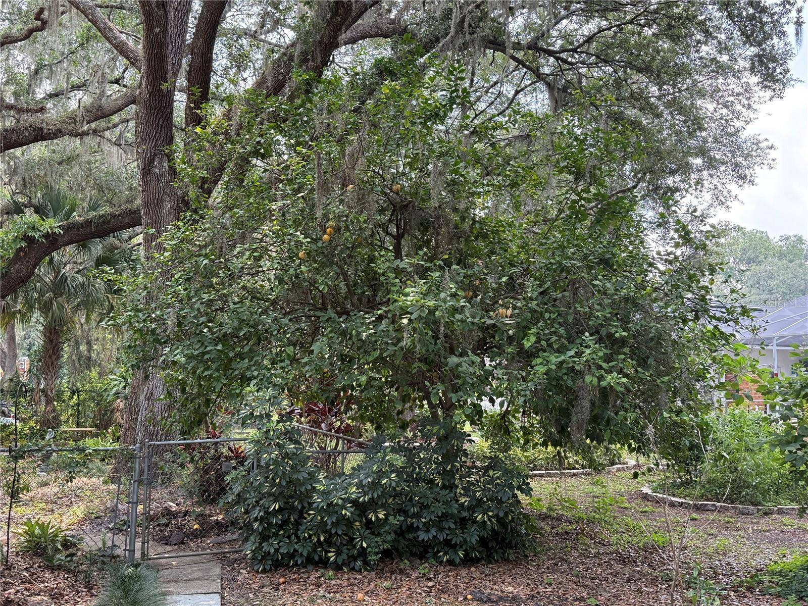 Bartow, FL 33830,6116 SWEET GUM RUN