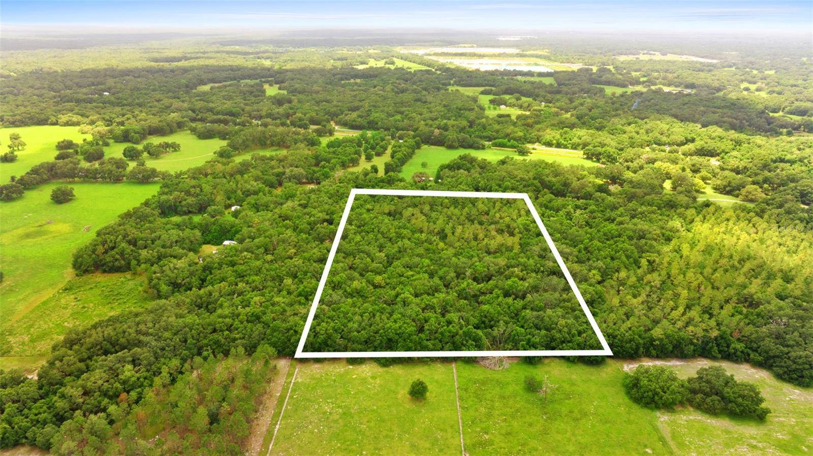 Webster, FL 33597,2000 SW 103RD PL