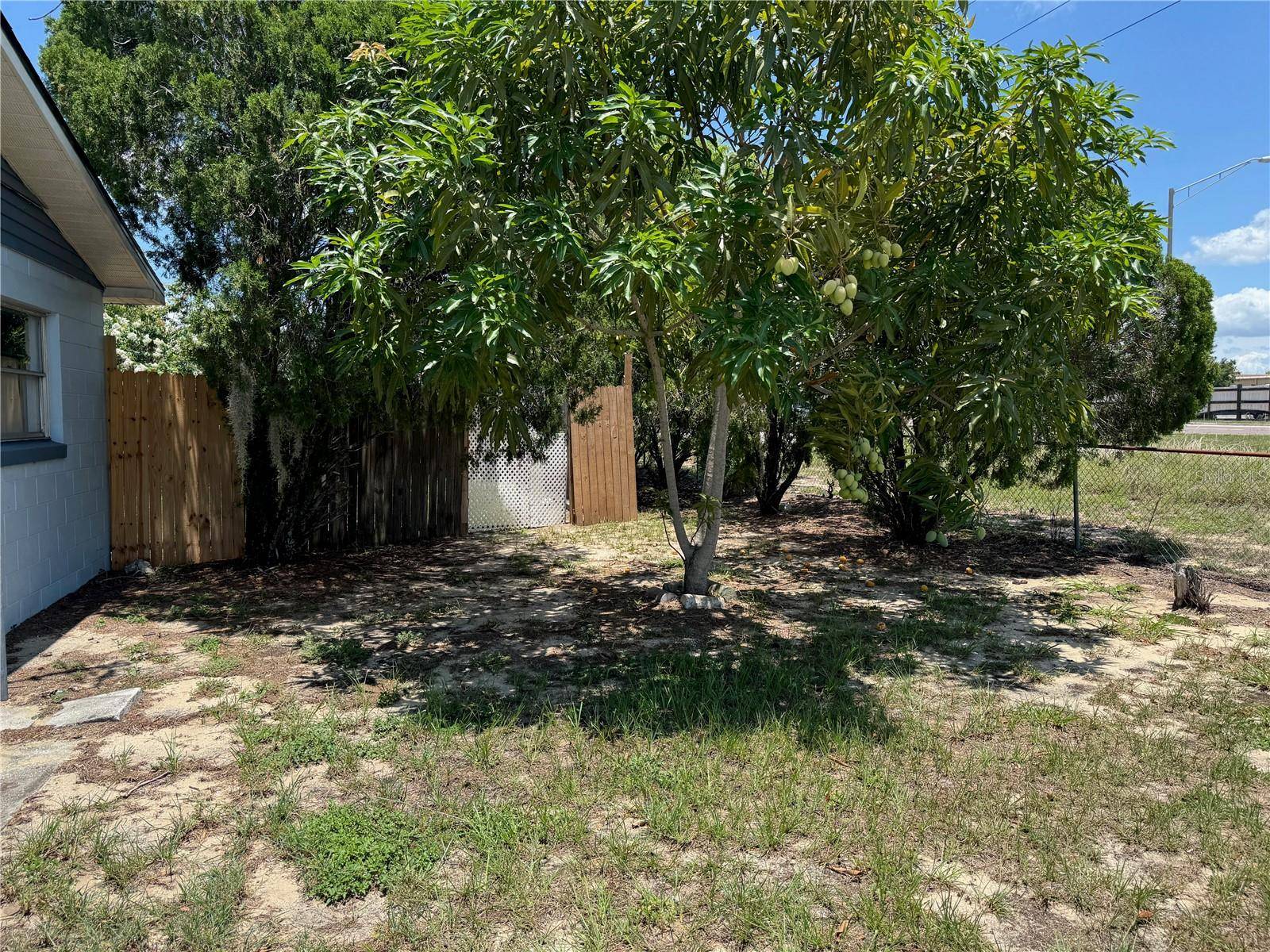 Lake Alfred, FL 33850,225 W ORANGE ST