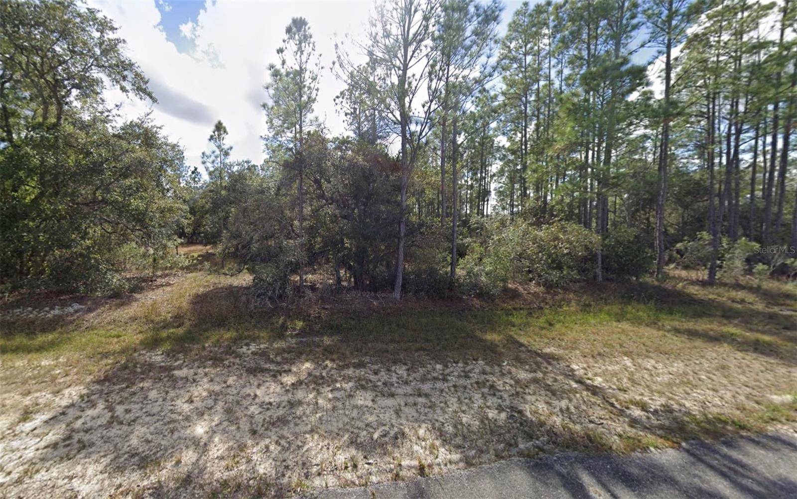Indian Lake Estates, FL 33855,823 PALM AVENUE