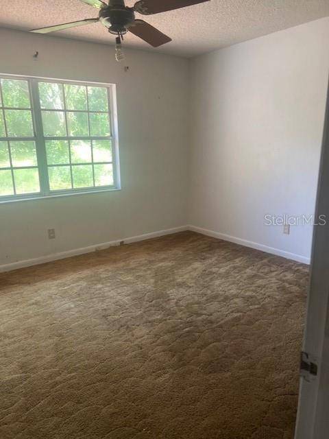 Lutz, FL 33559,19701 LIVINGSTON AVE