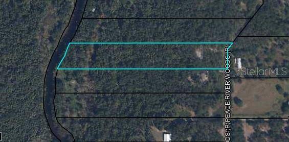 Wauchula, FL 33873,1786 PEACE RIVER WOODS