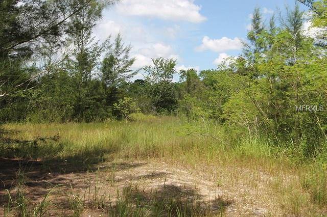 Lehigh Acres, FL 33972,1699 JOEL BLVD