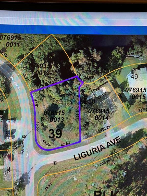 North Port, FL 34287,LOT 51 MAJORCA PL