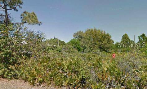 Port Charlotte, FL 33954,17485 WELLSLEY AVE