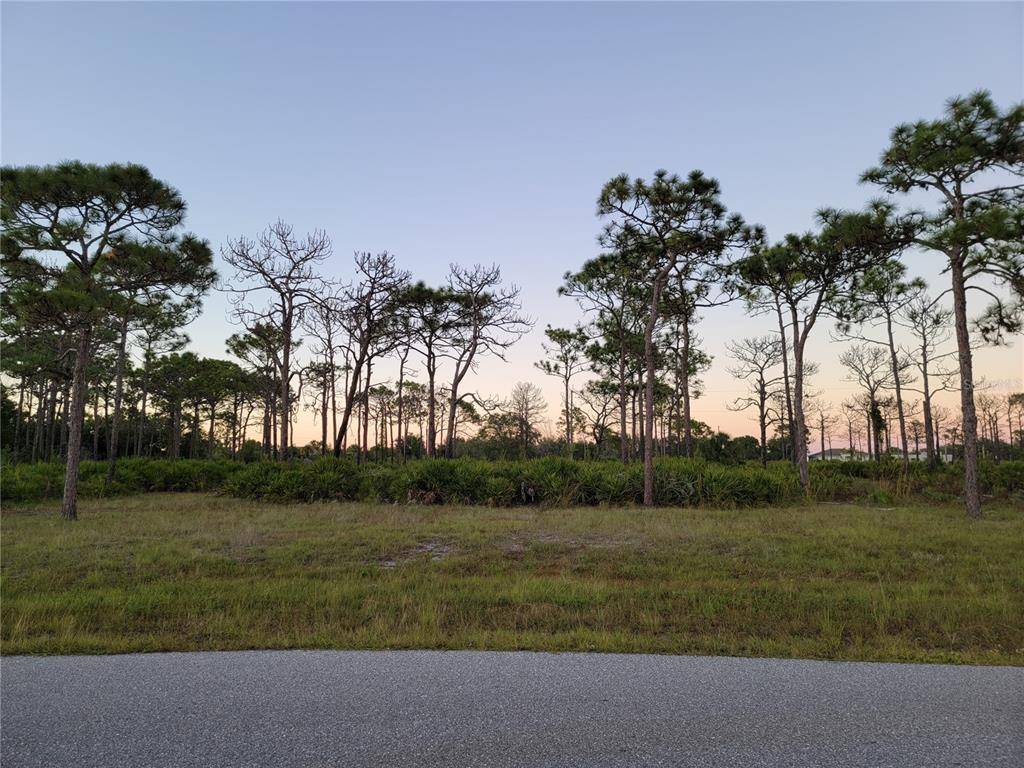 Placida, FL 33946,1 BRIG CIR N