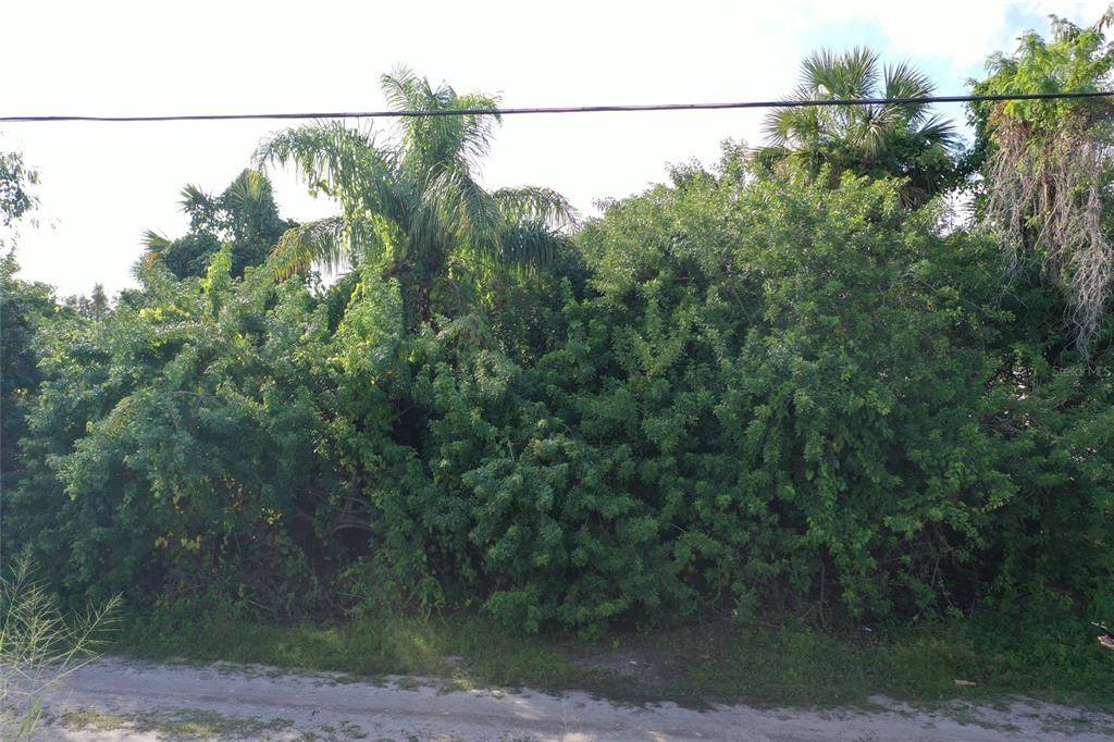 Punta Gorda, FL 33950,2529 CARMEN ST