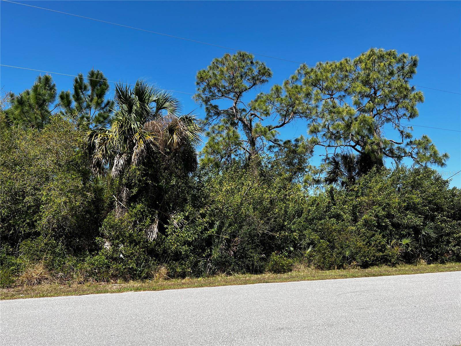 Port Charlotte, FL 33953,191 RAMBLEWOOD ST