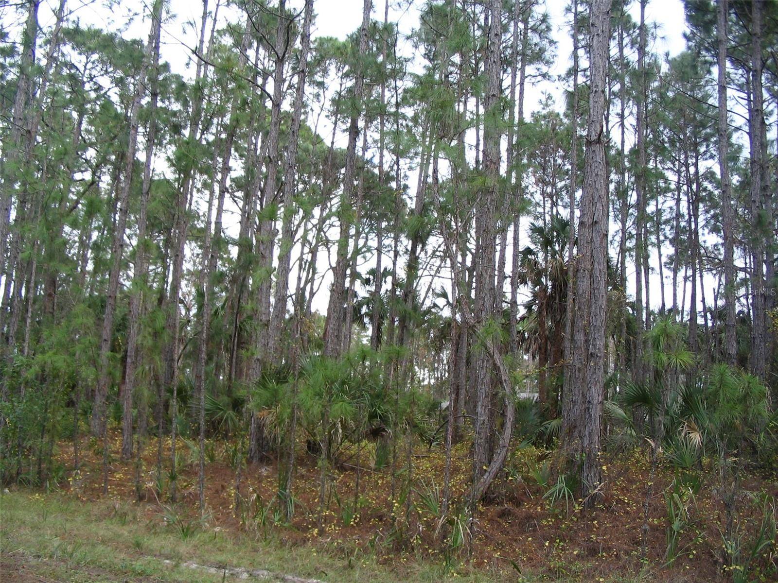 North Port, FL 34286,Lot 31 DULUTH TER