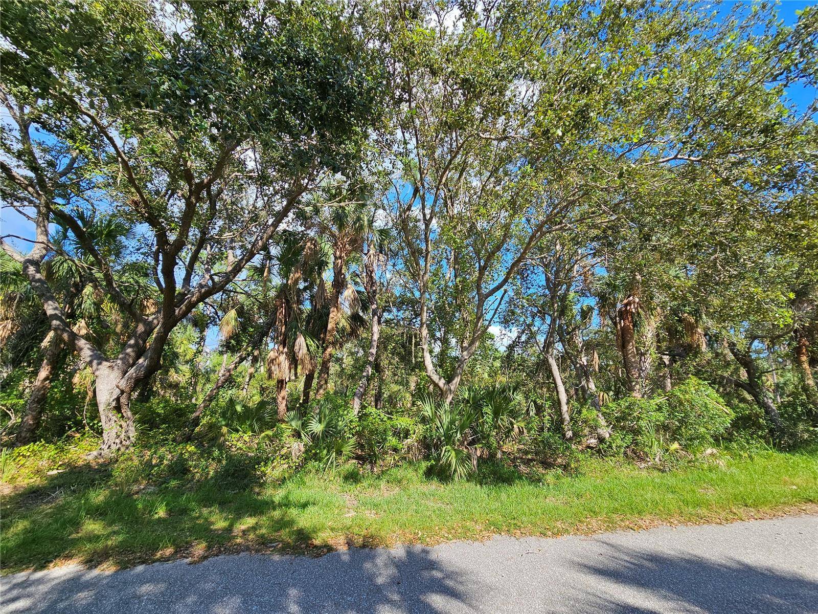 Port Charlotte, FL 33948,3286 CENTURY ST