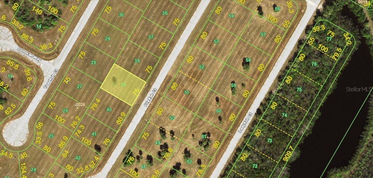 Placida, FL 33946,12491 FILEFISH CT