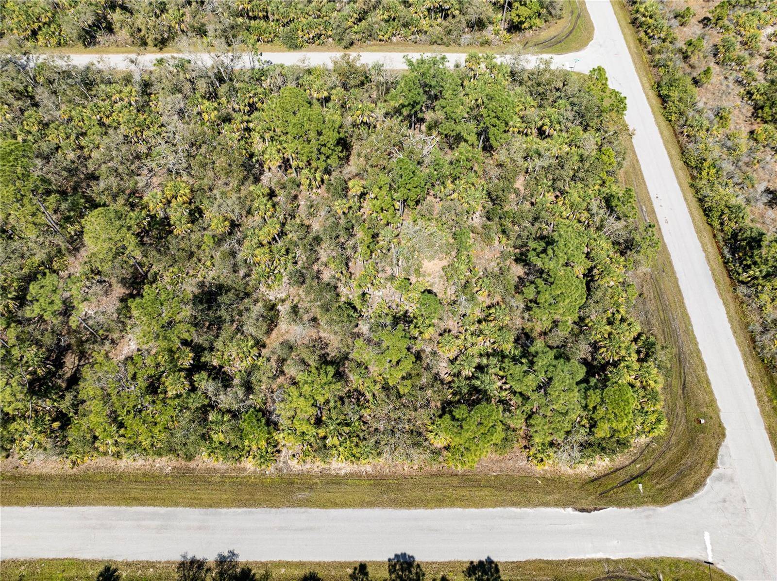 Port Charlotte, FL 33953,14250 HYDRANGEA AVE