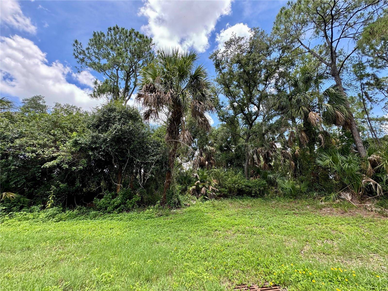 North Port, FL 34286,Lot 29 SHEBOYGAN AVE