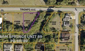 North Port, FL 34287,LOT 68 TRIONFO AVE
