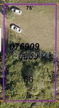 North Port, FL 34287,LOT 66 TRIONFO AVE