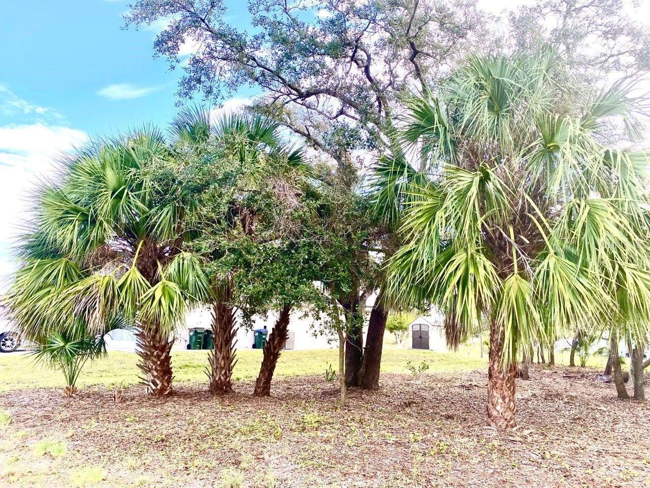 North Port, FL 34287,LOT 27 S BISCAYNE DR