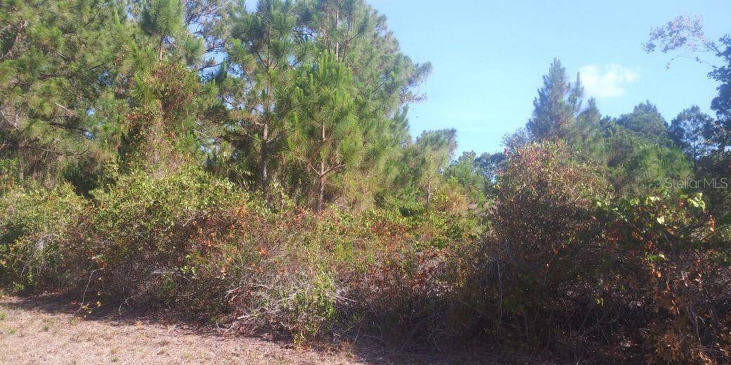 North Port, FL 34291,Lot 4 ALWOOD ST