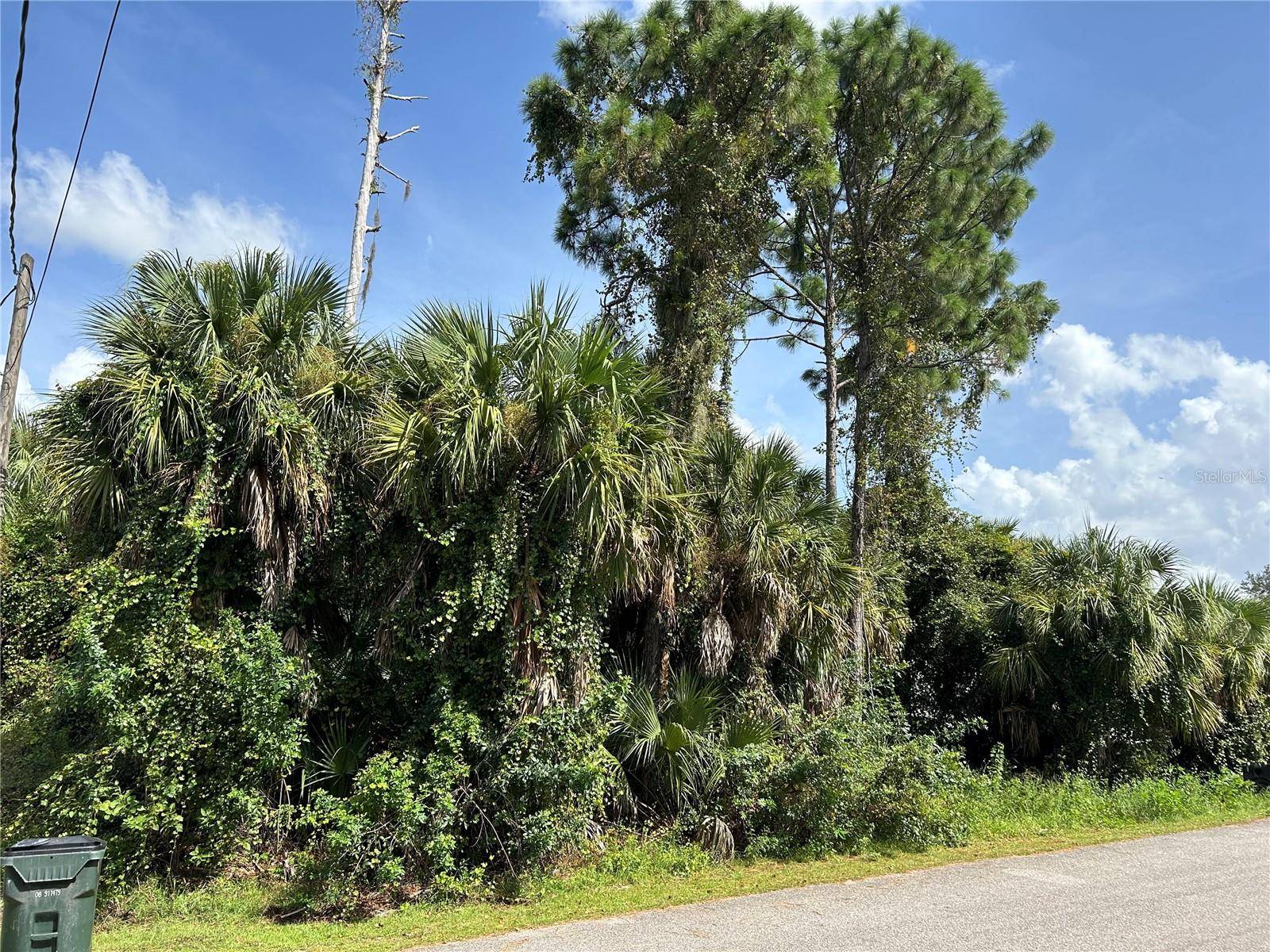 North Port, FL 34288,0000 NEW MILFORD ST