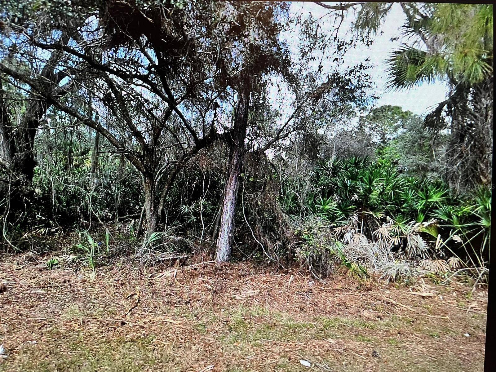 North Port, FL 34291,LOT 21 SURF AVE