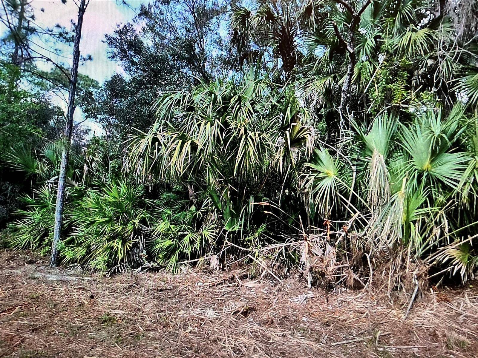 North Port, FL 34291,LOT 22 SURF AVE
